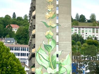 Great Gentian — Street art by Mona Caron in Le Locle
