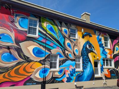 "The Proudest Plumage" - 2025 — Street art by Drippin (DRPN) Soul in Ottawa