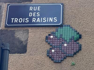 La grappe de la rue des Trois Raisins — Street art de Mifamosa à Clermont-Ferrand