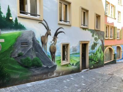 Bouquetins sur l'éperon rocheux — Street art à Neuchâtel