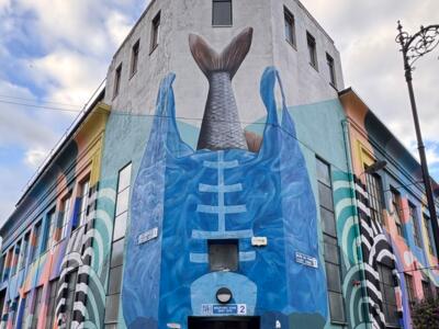 Climate III, the Fish in the Plastic Bag — Street art by SUBSET in Dublin