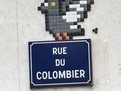 Le pigeon de la rue du Colombier — Street art de Mifamosa à Orléans