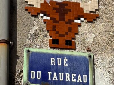 Tête de taureau de la rue du Taureau — Street art de Mifamosa à Orléans