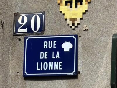 Lioness Muzzle in Pale Tiles — Street art by Mifamosa in Orléans