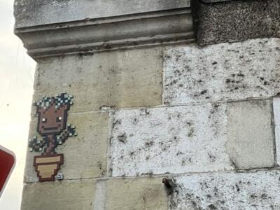 La Belle Plante — Street art de Tag Lady à Orléans
