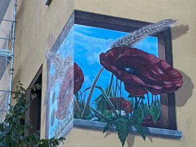 Trompe-l'oeil Poppies on Rue de la Serre — Street art by Carolus in La Chaux-de-Fonds
