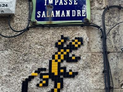 La salamandre de l'impasse Salamandre — Street art de Mifamosa à Orléans