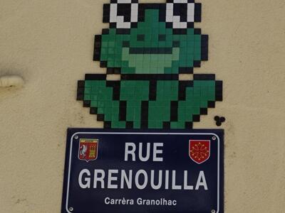 Frog on Rue Grenouilla — Street art by Mifamosa in Agen