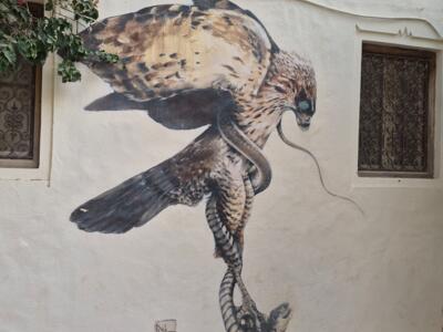 Rapace et serpent sur un mur blanc de Djerba — Street art à Erriadh