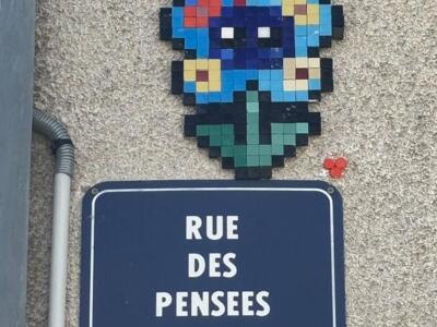 La pensée de la rue des Pensées — Street art de Mifamosa à Orléans