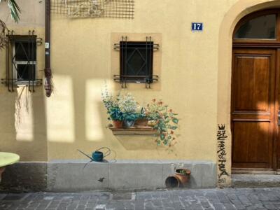 Jardinière fleurie sous une fenêtre — Street art à Neuchâtel