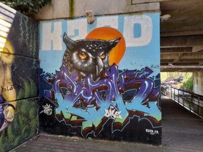 Owl by KZED — Street art by KZED in Sète