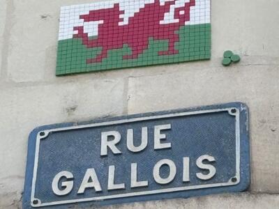 Dragon gallois de la rue Gallois — Street art de Mifamosa à Blois
