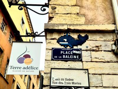 The whale of Place de la Baleine — Street art by Mifamosa in Lyon