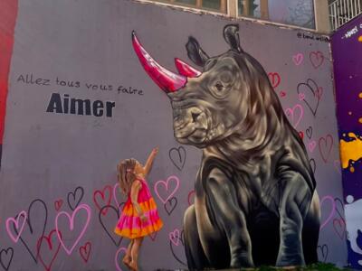 "Allez tous vous faire Aimer", Beral's rhinoceros — Street art by Beral in Paris