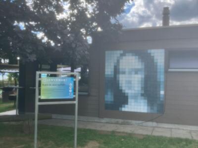 Mona Lisa in Blue-Grey Tiles — Street art in La Grande Béroche