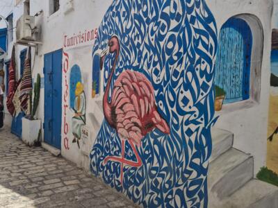 Flamant rose sur fond de calligraphie — Street art à Houmt Souk