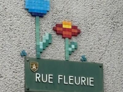 Two Flowers for Rue Fleurie — Street art by Mifamosa in Aschères-le-Marché