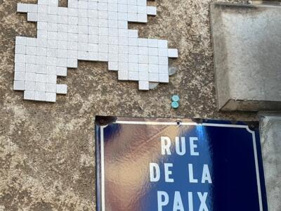 Colombe blanche de la rue de la Paix — Street art de Mifamosa à Orléans