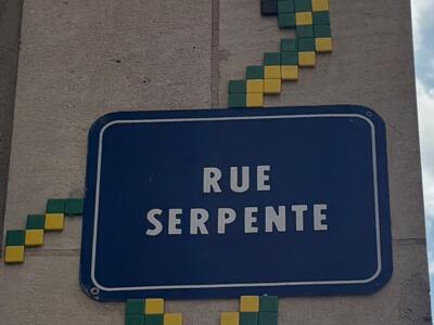 Serpent de mosaïque, rue Serpente — Street art de Mifamosa à Orléans