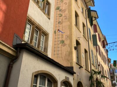 Treille peinte sur l'arête de l'immeuble — Street art à Neuchâtel