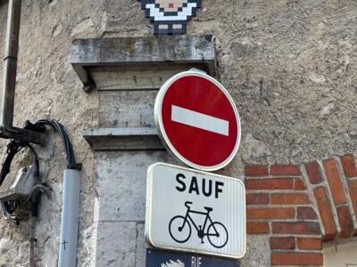 Mouton pixelisé de la rue du Mouton Blanc — Street art de Mifamosa à Blois