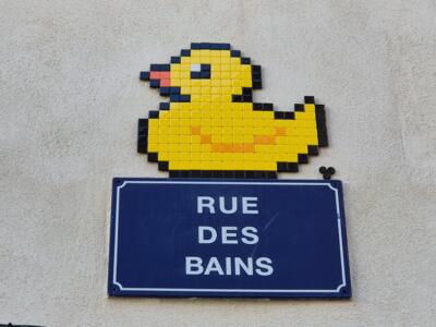 The duck of Rue des Bains — Street art by Mifamosa in Avignon