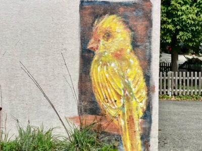 Canari sur fond sombre — Street art à La Chaux-de-Fonds