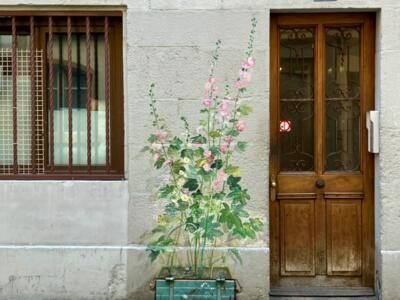 Roses trémières au pied du mur — Street art à Neuchâtel