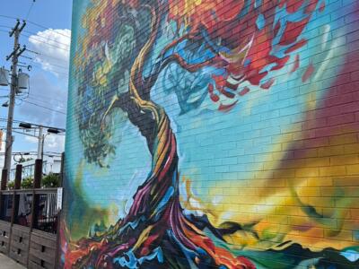 Arbre multicolore de Trackside Studios — Street art de Trackside Studios à Sydney