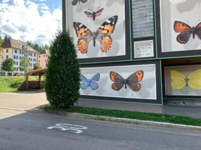 La collection du Locle, 2022 — Street art de Mantra à Le Locle
