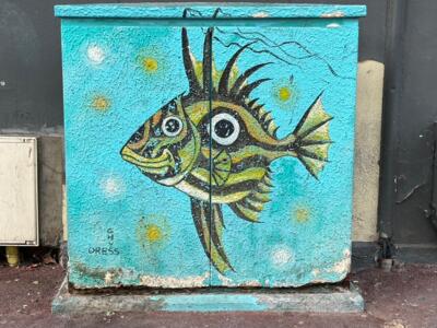 Sunfish on the Electrical Cabinet — Street art in Boulogne-sur-Mer