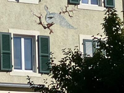 Peacock on the Branch — Street art in La Chaux-de-Fonds
