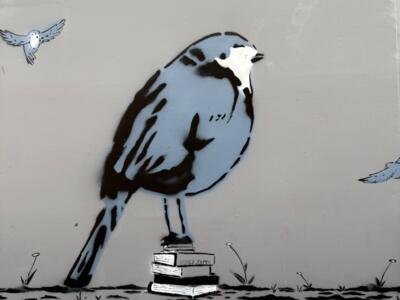 Robin perched on a stack of books — Street art by Robby Zappa in Bordeaux