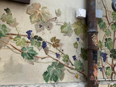 Vigne grimpante et grappes bleues — Street art à Neuchâtel