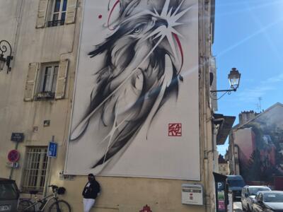 Deux aigles de SATR, rue d'Assas — Street art de SATR à Dijon