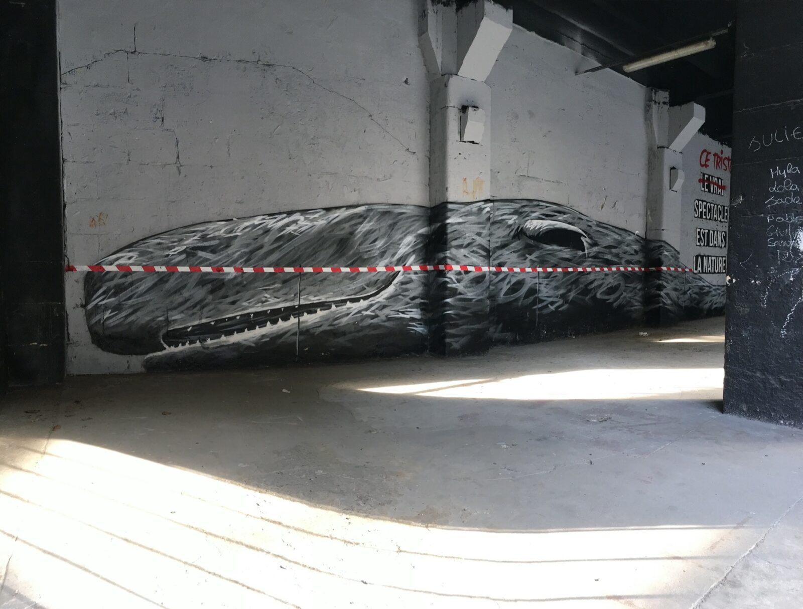 The stranded whale, painted across the floor and the low wall of a passage in the northern buildings. The nearby lettering, "the real show is out in nature", sets the tone for the whole site.