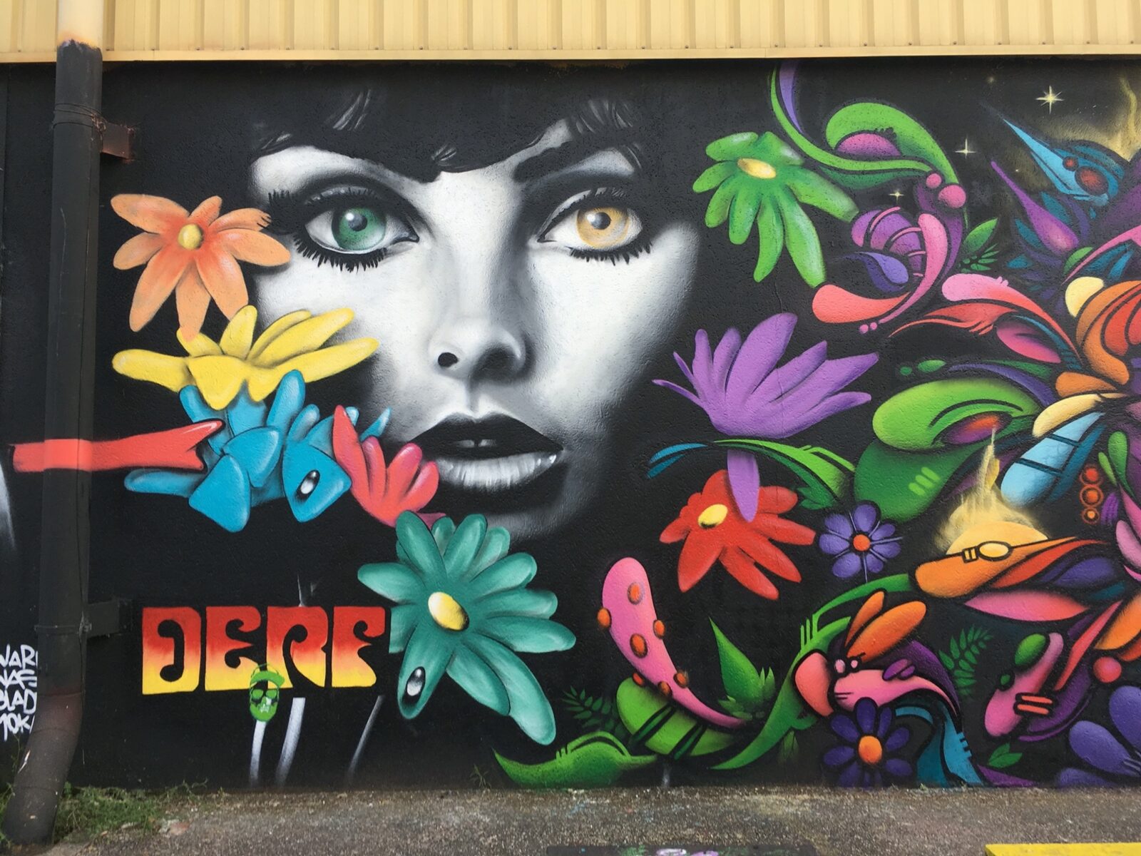 Flowered portrait by Derf, quai des Queyries.