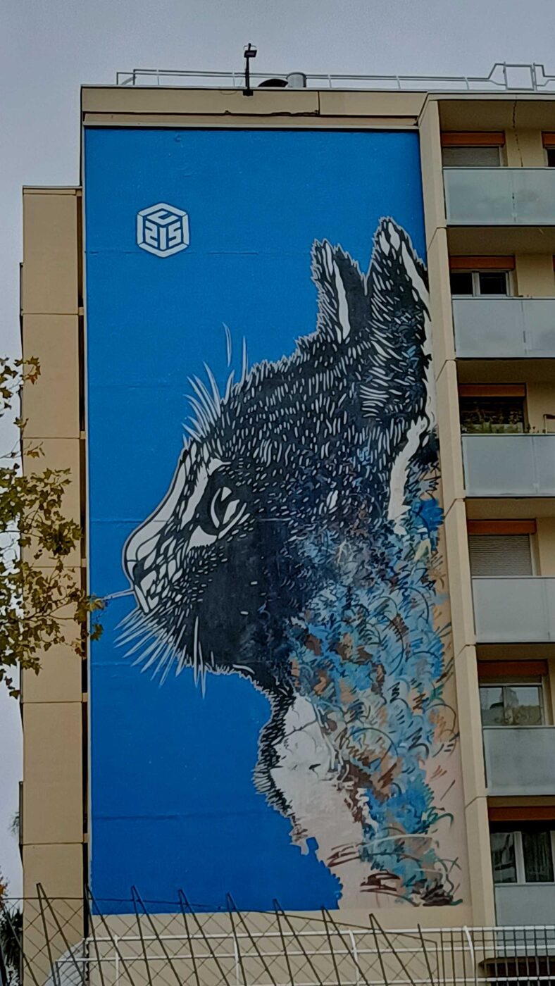 The Cat by C215 - 167 Bd Vincent Auriol, 75013 Paris