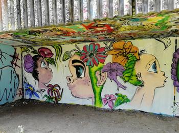  france-olivet-graffiti