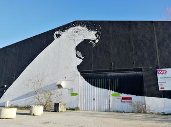 White bear france-bordeaux-graffiti