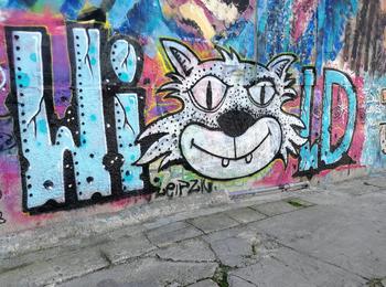 Wild portugal-lisboa-graffiti
