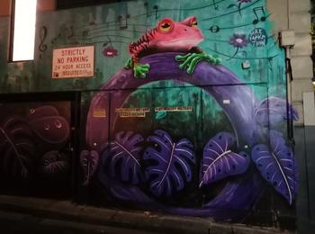 Frog australia-melbourne-graffiti