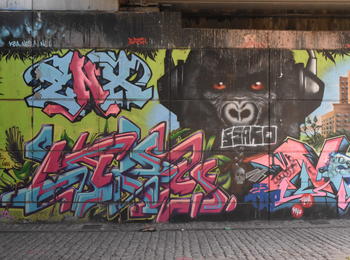 Another monkey france-noisy-le-sec-graffiti
