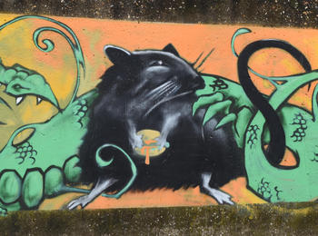 Le rat et le dragon belgium-brugge-graffiti
