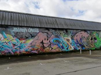  france-redon-graffiti