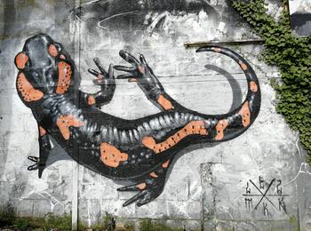 Lezard france-redon-graffiti