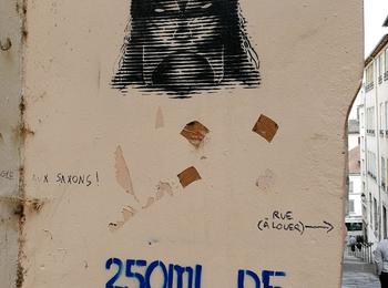 250ml de distraction france-lyon-graffiti