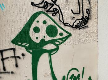  france-lyon-graffiti