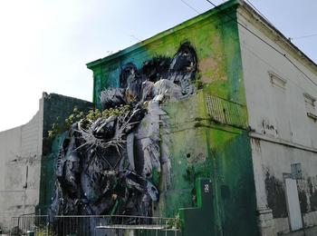 Raccoon portugal-lisboa-graffiti